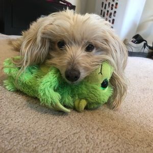 Meet your Posher, Alejandra